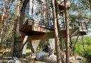 My Tree Home – Domy na Drzewach w Warszawie